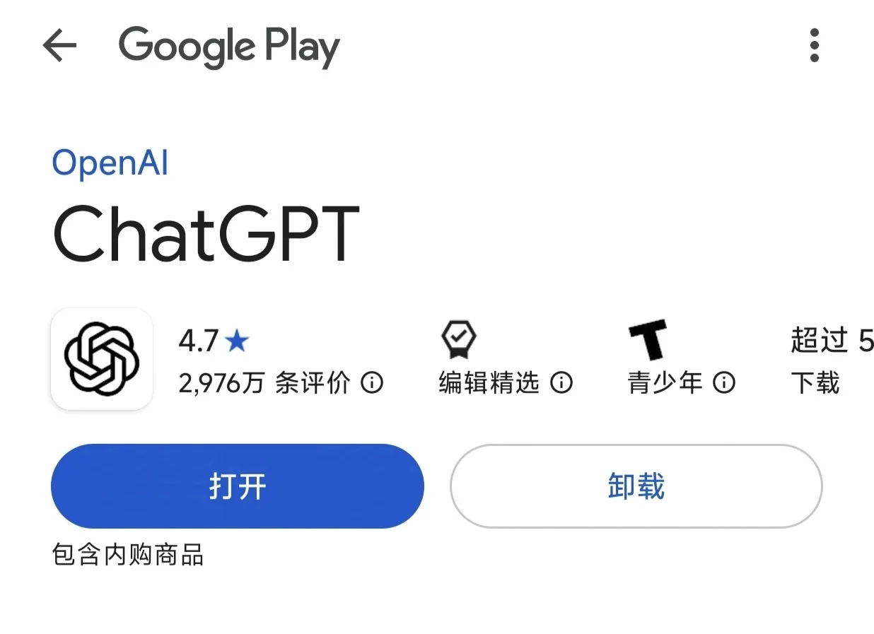 到底这个是不是真正的ChatGPT