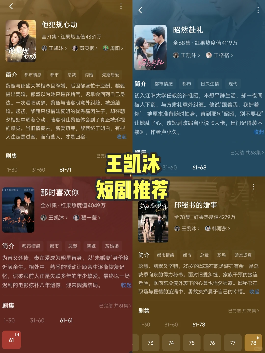 王凯沐的几部剧