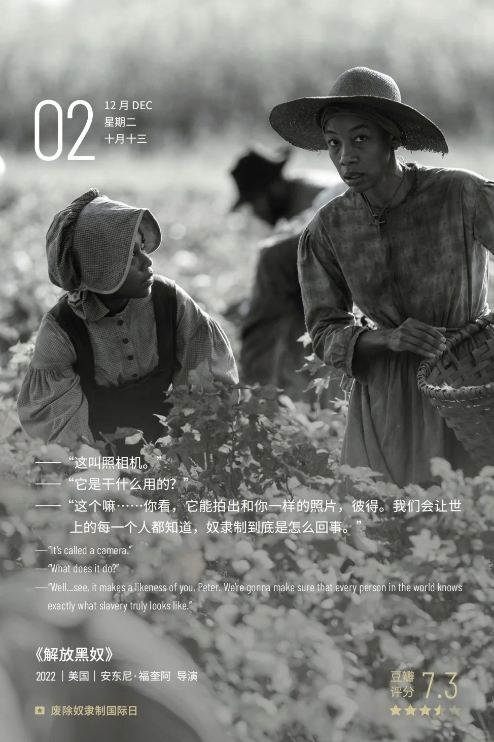 电影推荐🎥 解放黑奴