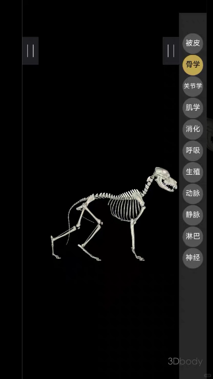 自学兽医犬猫3D解剖安卓软件