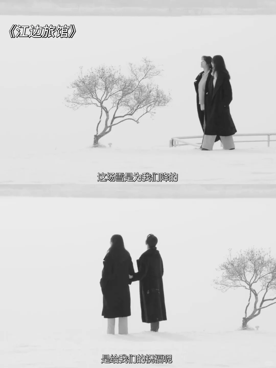 超适合冬天❄️窝在家里看的一些电影🎬