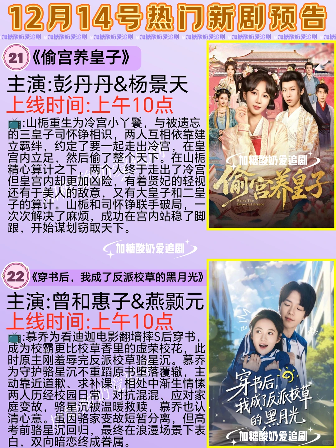 天花板短剧💥12月14日热门短剧预告