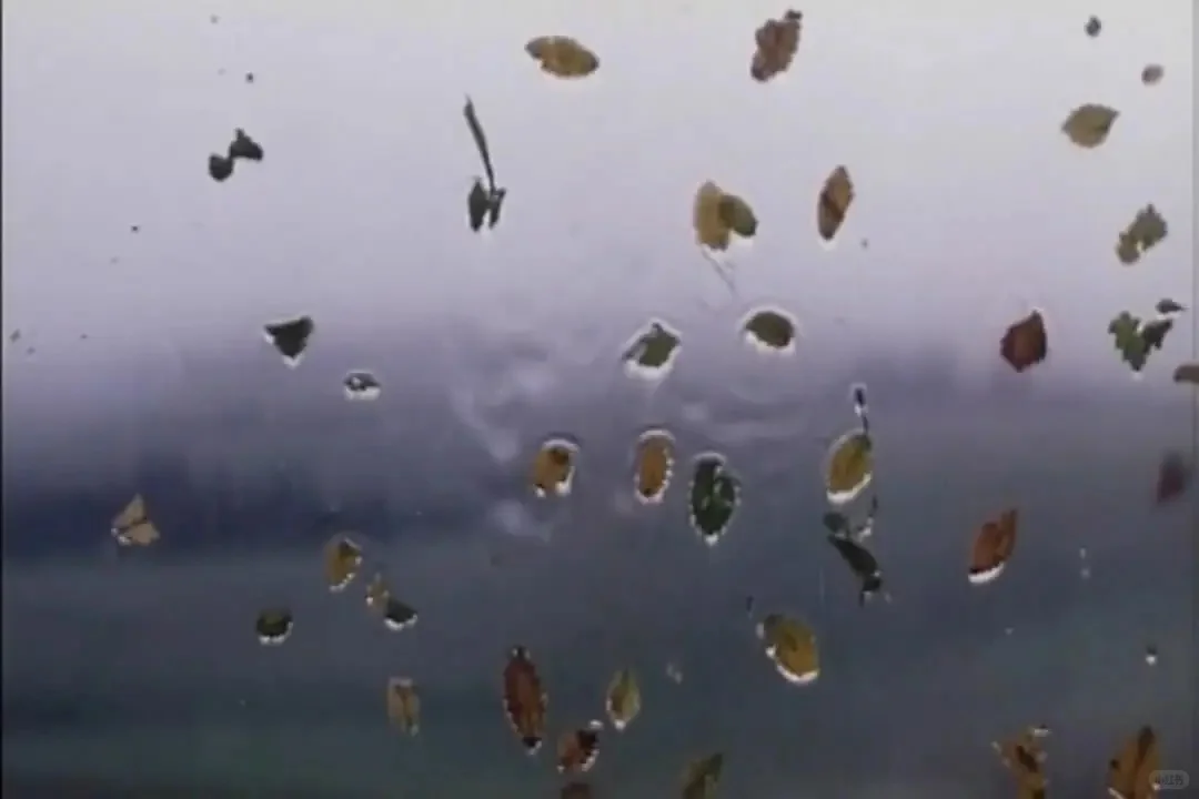 电影《让风带着我起飞》