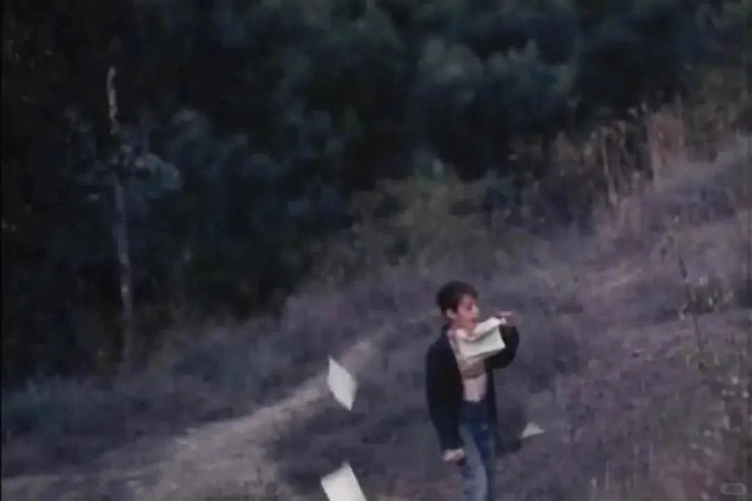 电影《让风带着我起飞》