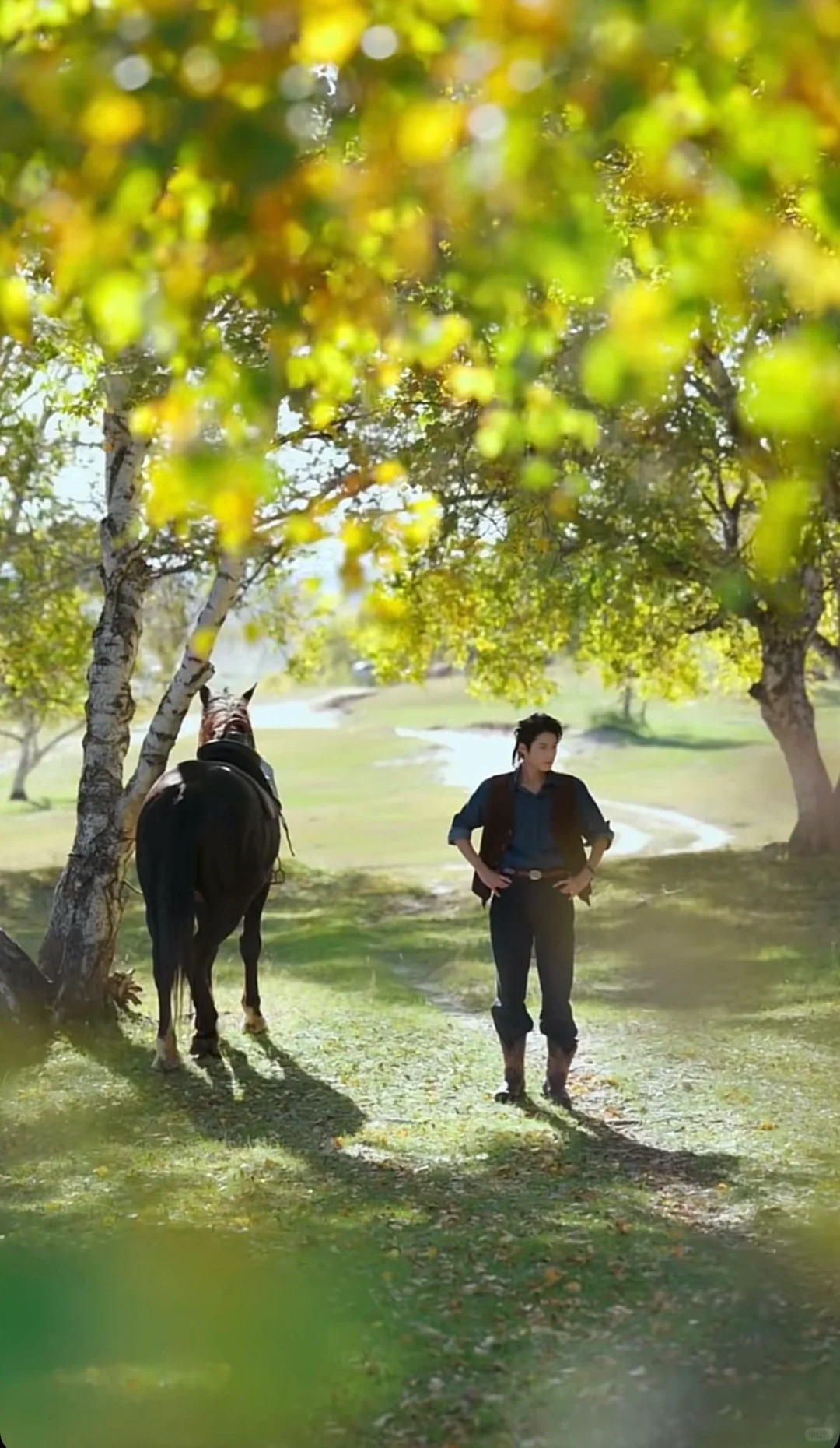 不火 但真的好看❗️