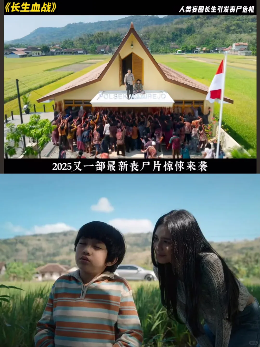 2025蕞新丧shi电影🔥 网飞严选