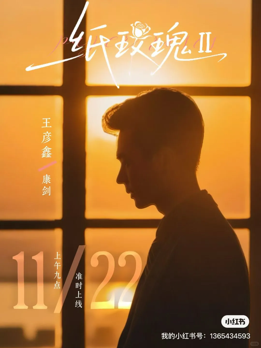 《纸玫瑰2》热播上映～