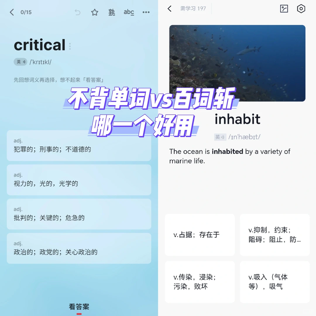 上班摸鱼背六级单词