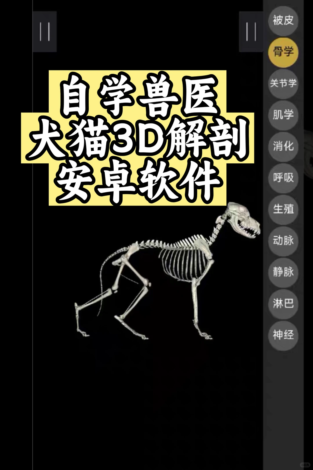 自学兽医犬猫3D解剖安卓软件