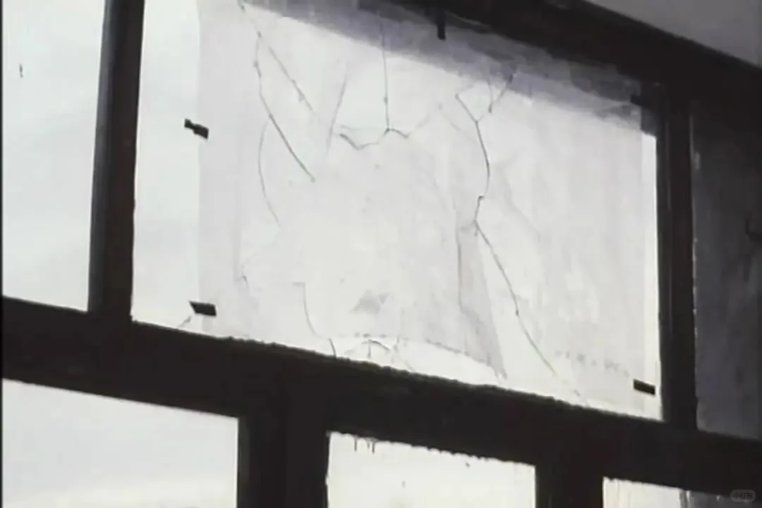 电影《让风带着我起飞》