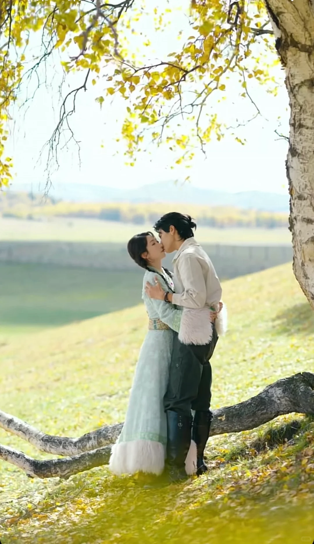 不火 但真的好看❗️