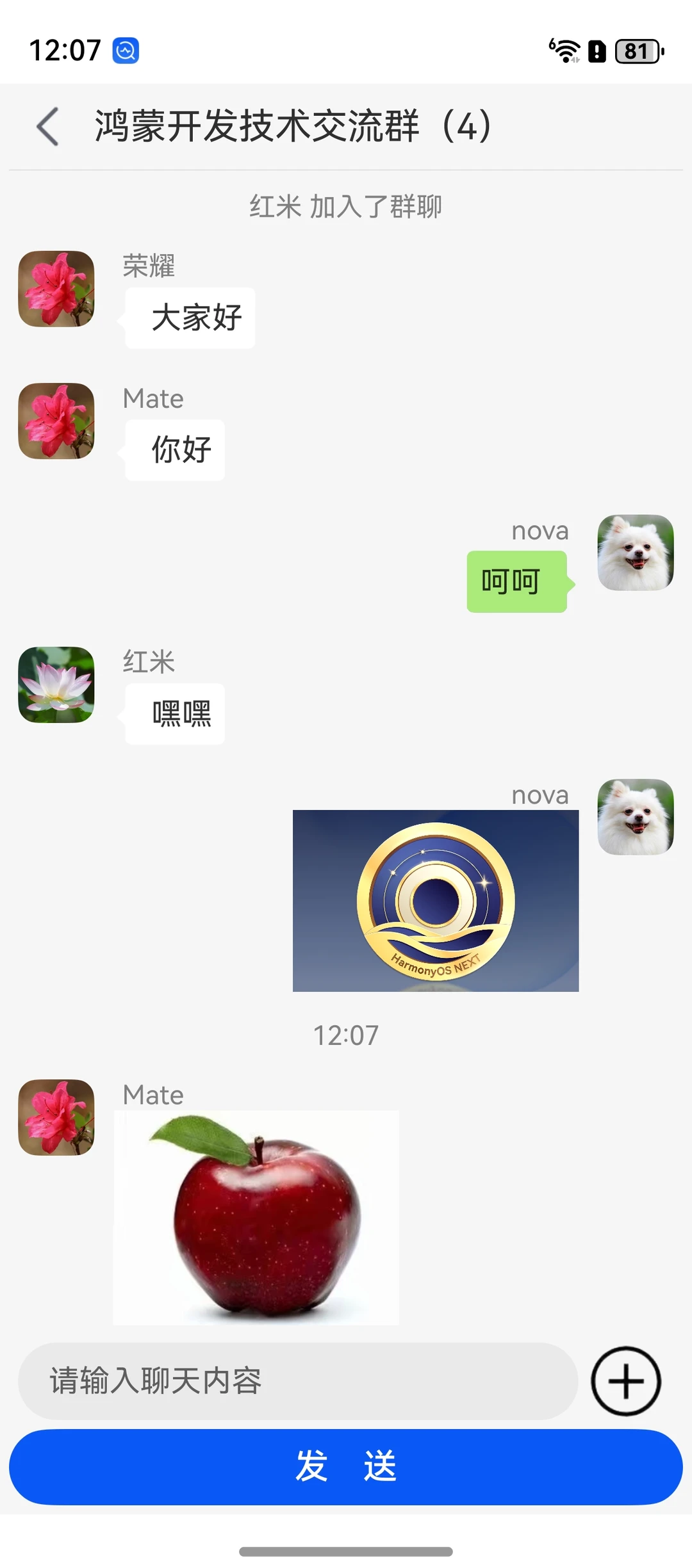 鸿蒙版仿微信App开发实战来啦！