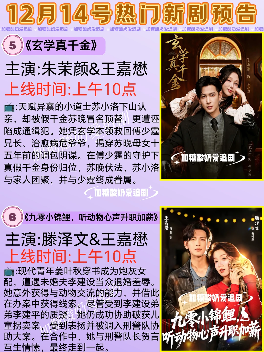 天花板短剧💥12月14日热门短剧预告