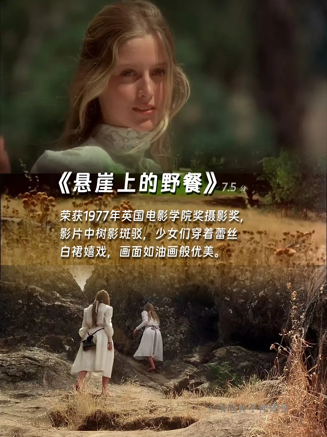 提高审美，请狂刷这12部电影🎬