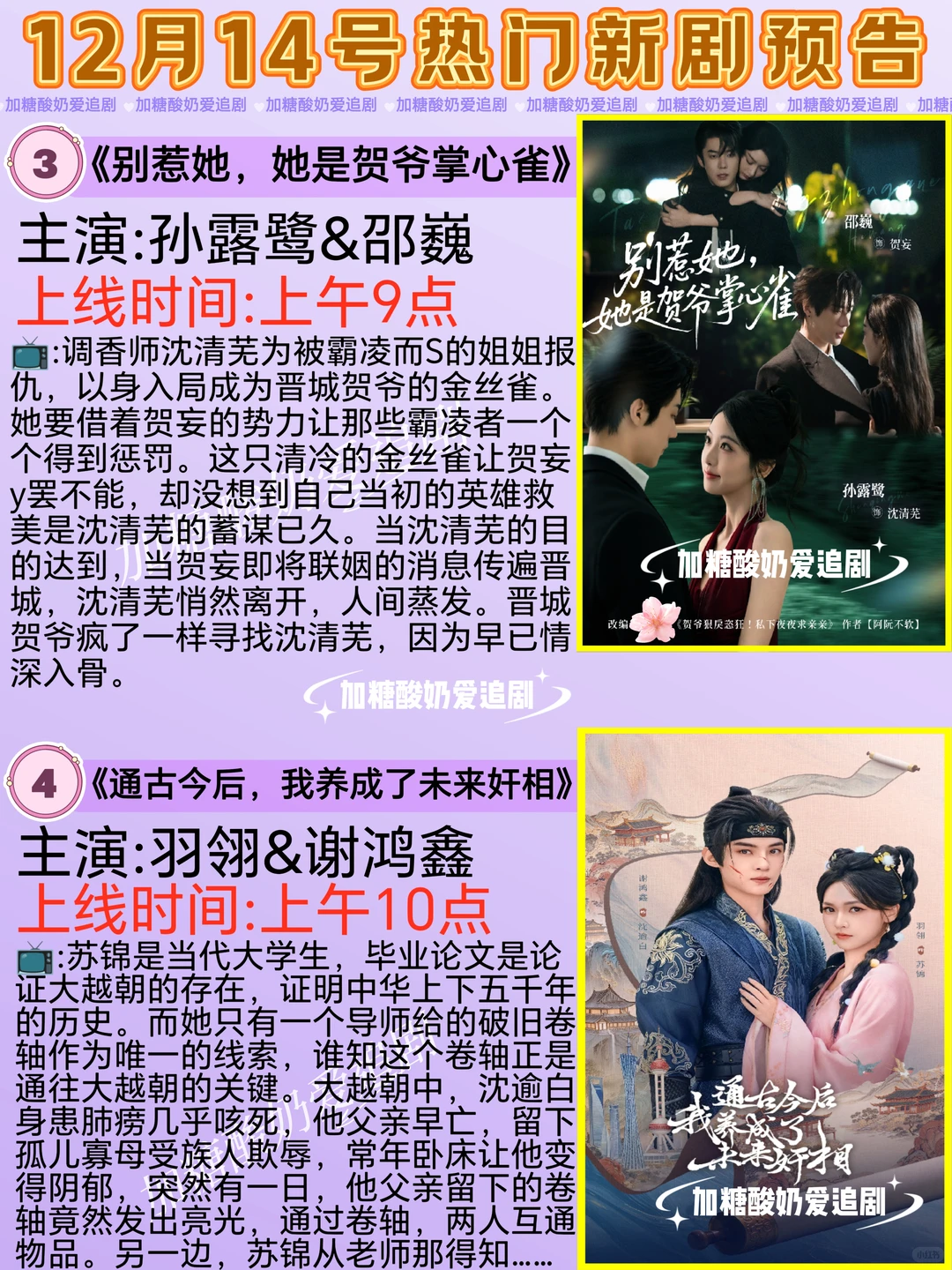 天花板短剧💥12月14日热门短剧预告