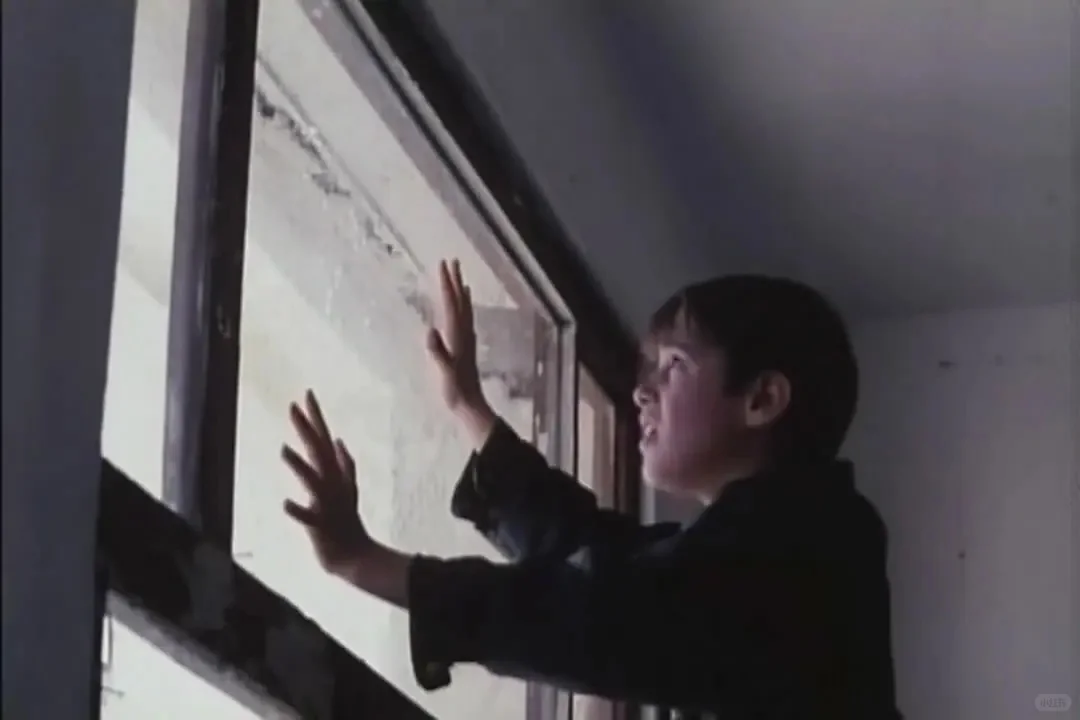 电影《让风带着我起飞》