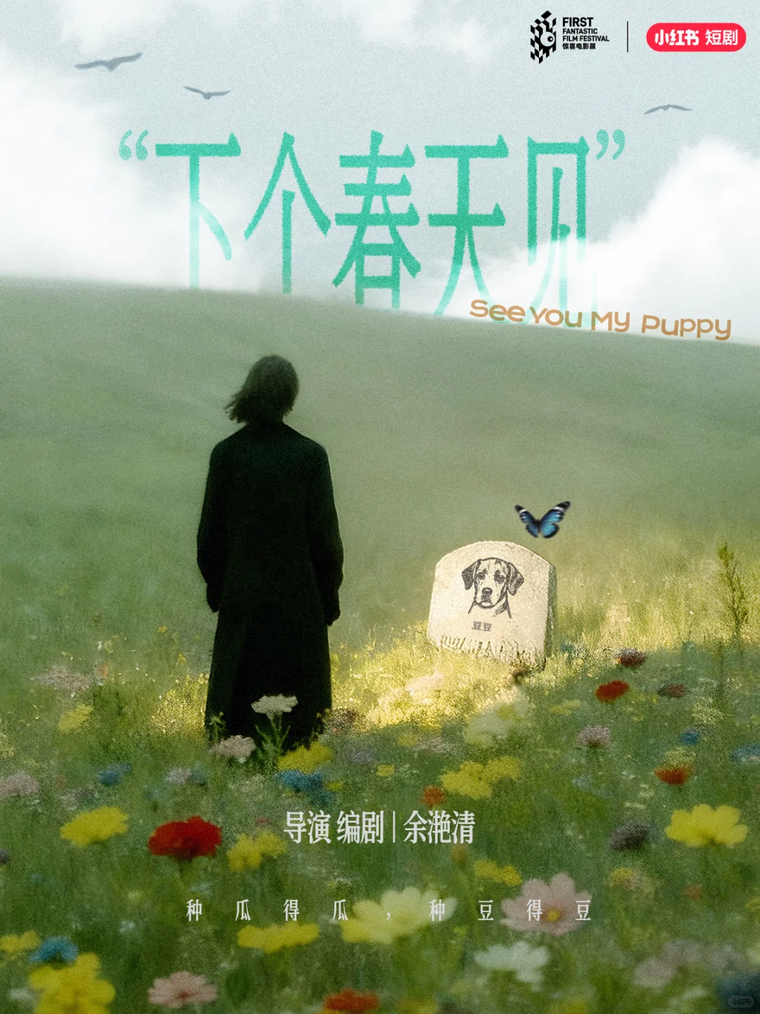 红镜短剧破局降智乱象 精品待播行业新篇!