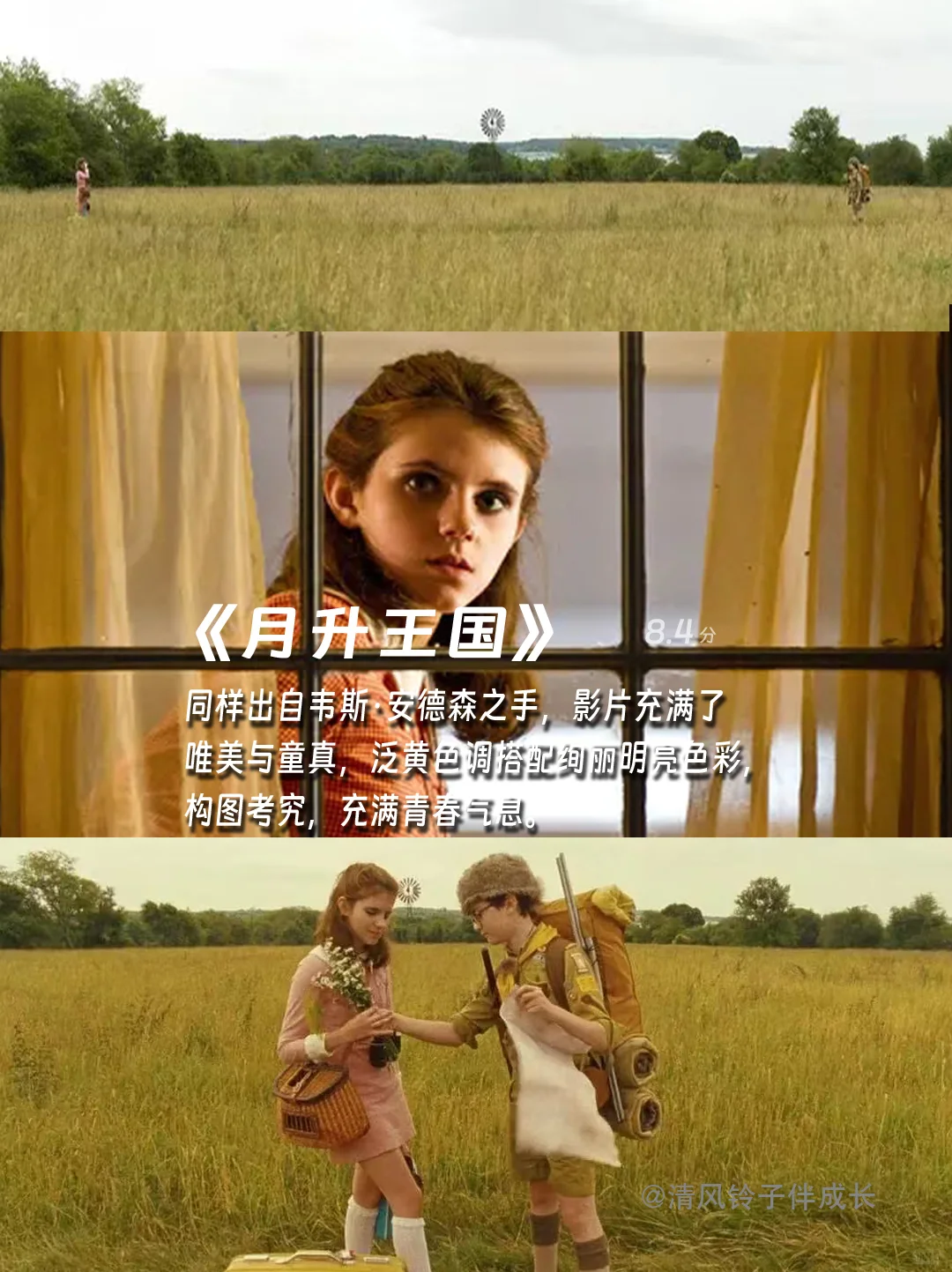 提高审美，请狂刷这12部电影🎬