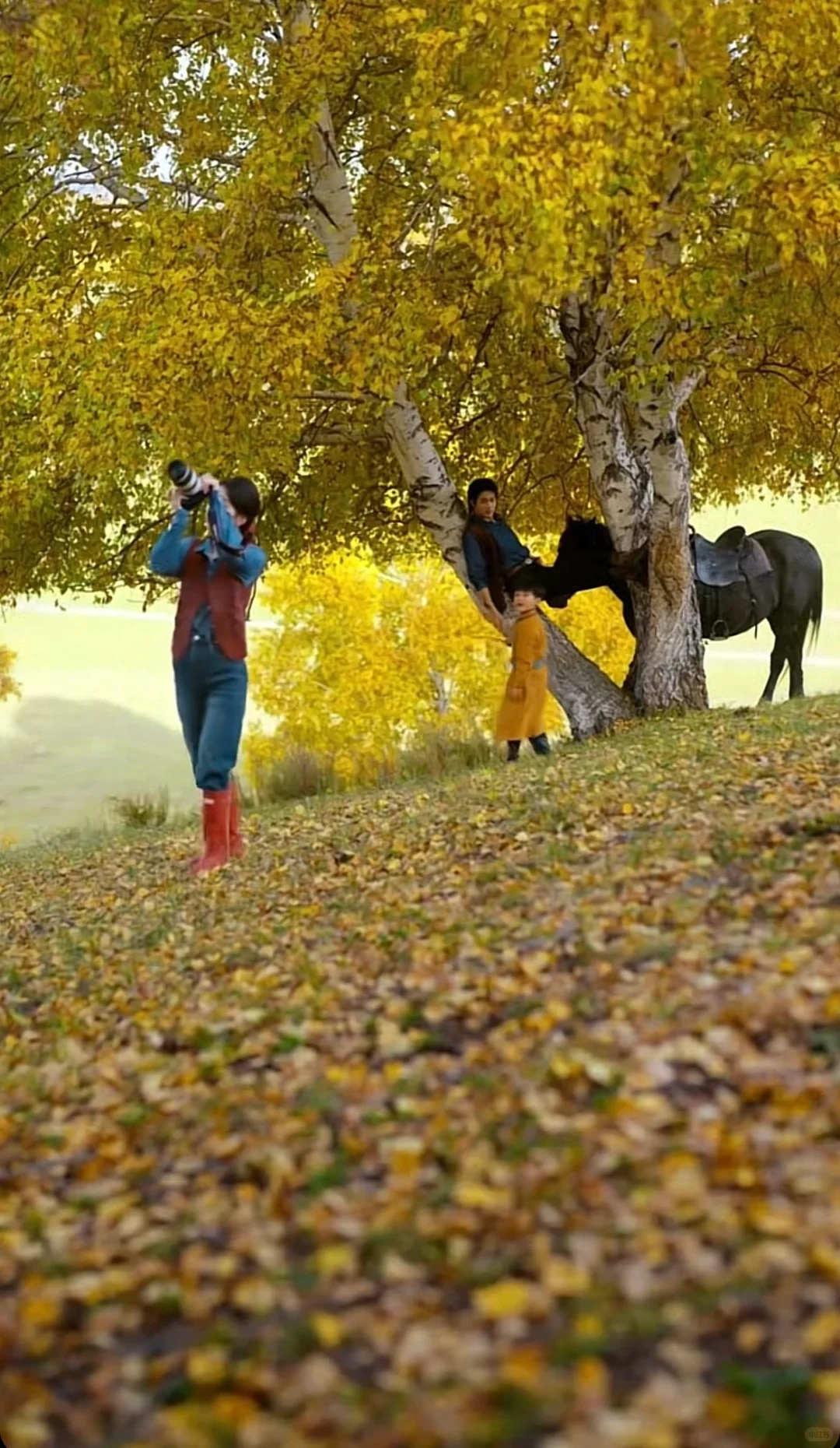 不火 但真的好看❗️