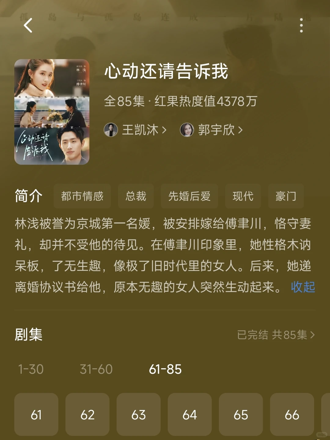 王凯沐的几部剧