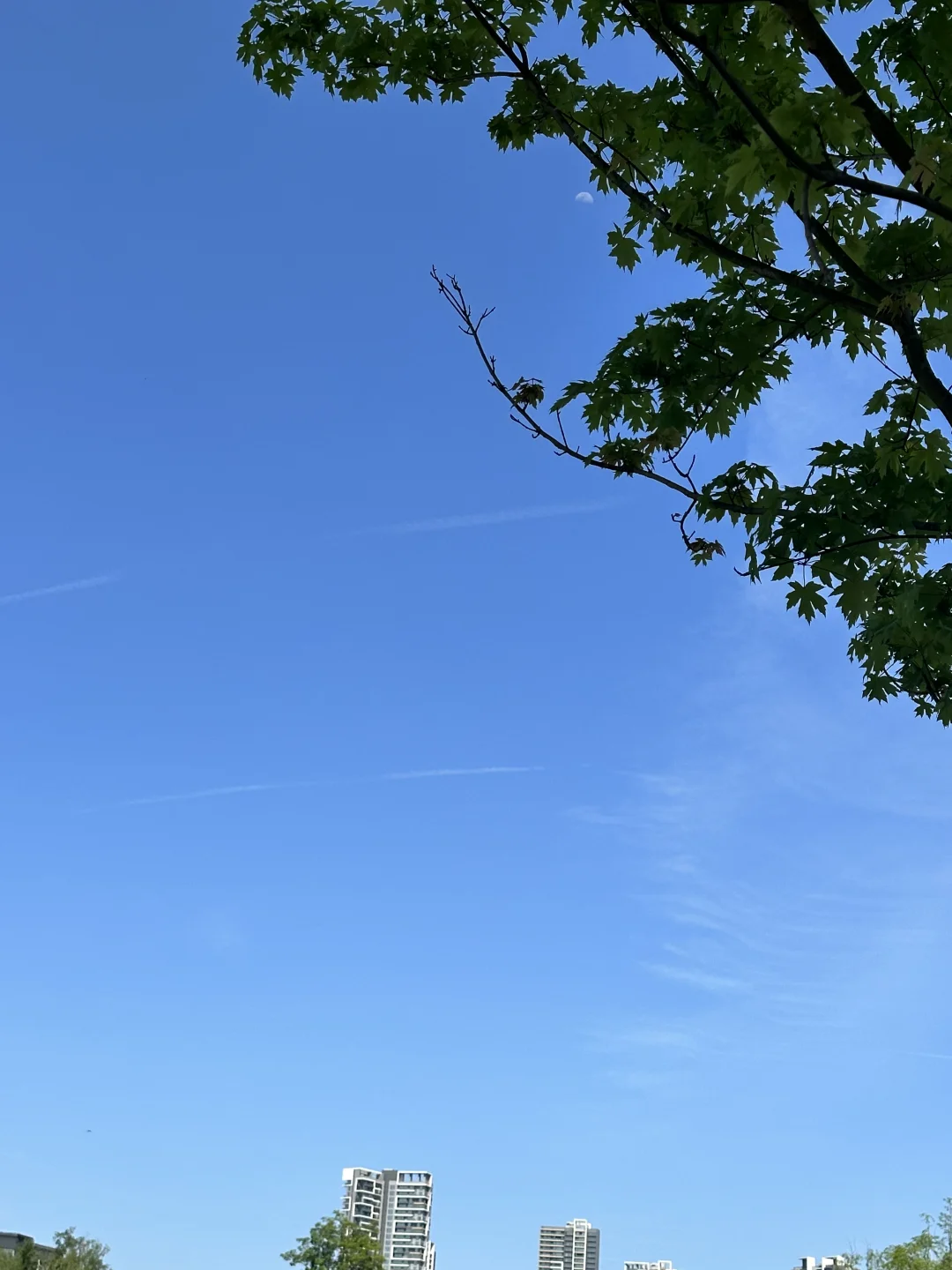 小程序，系统，app