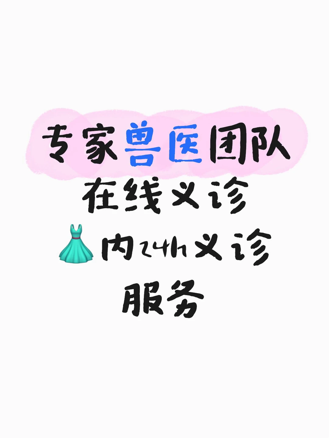 宠物义诊 大胆来问