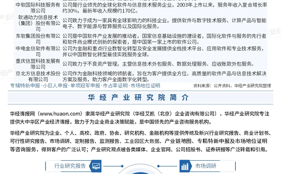 2026年中国软件服务外包行业投资战略研究