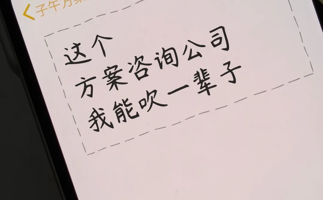 这个方案咨询公司我能吹一辈子!