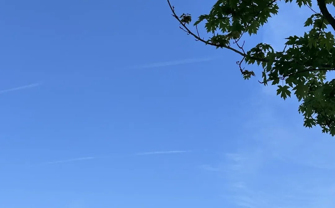 小程序，系统，app