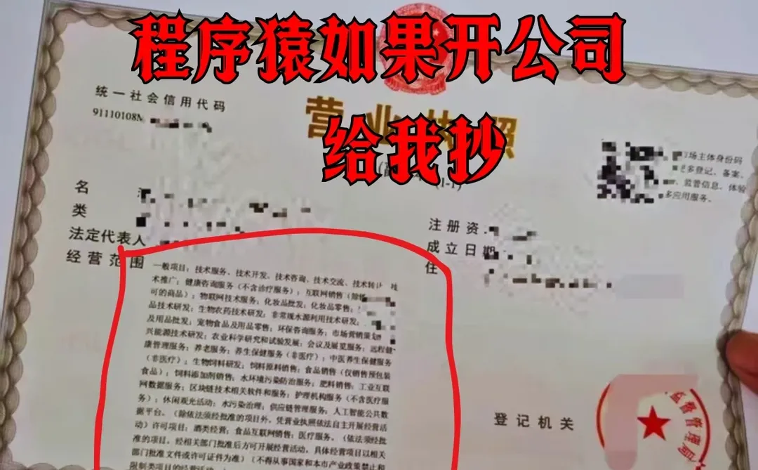 武汉软件开发营业范围,直接抄哦~