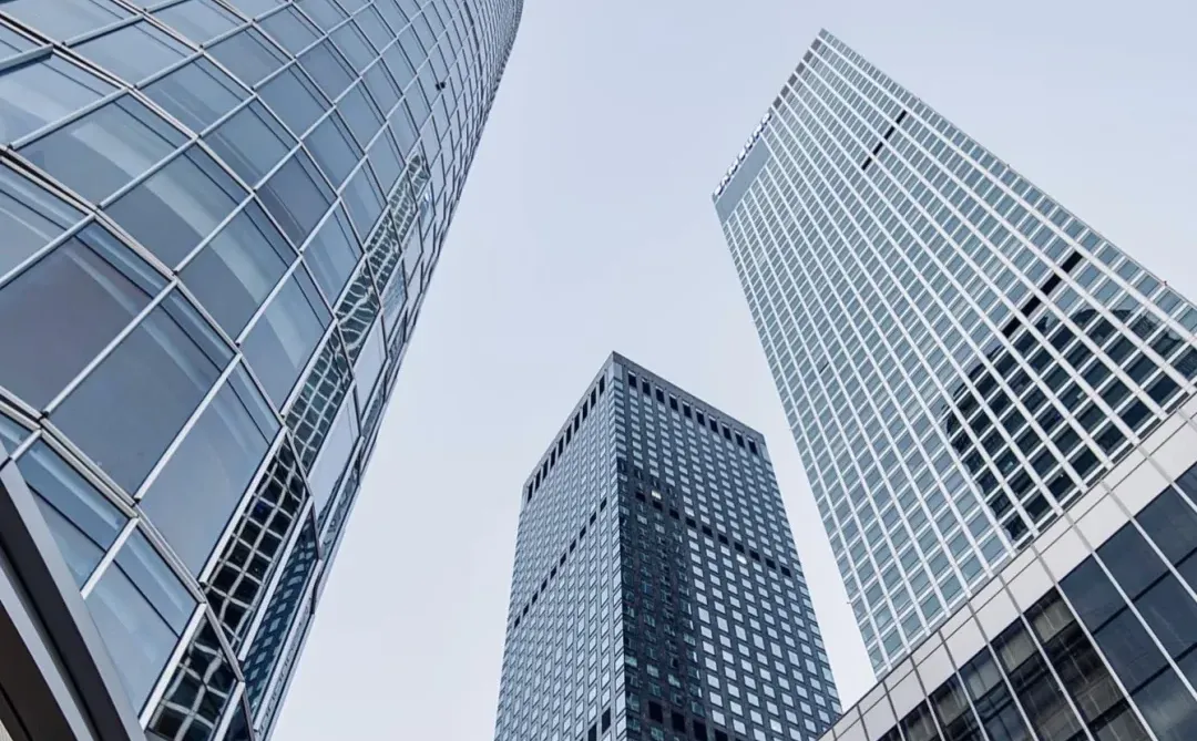 【企业数字化的「定制化救星」，终于被我挖到了