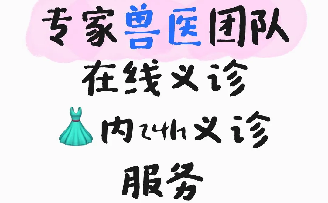 宠物义诊 大胆来问