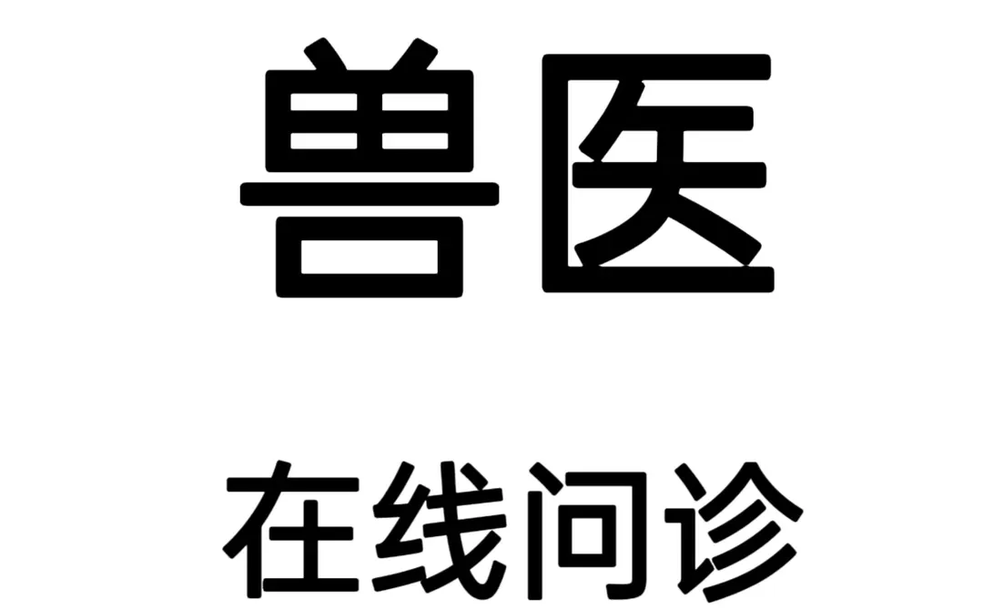 宠物医生在线问诊24h