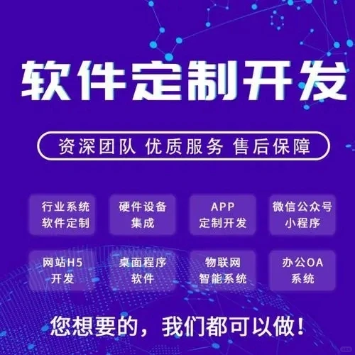 网页软件商城源码定做开发