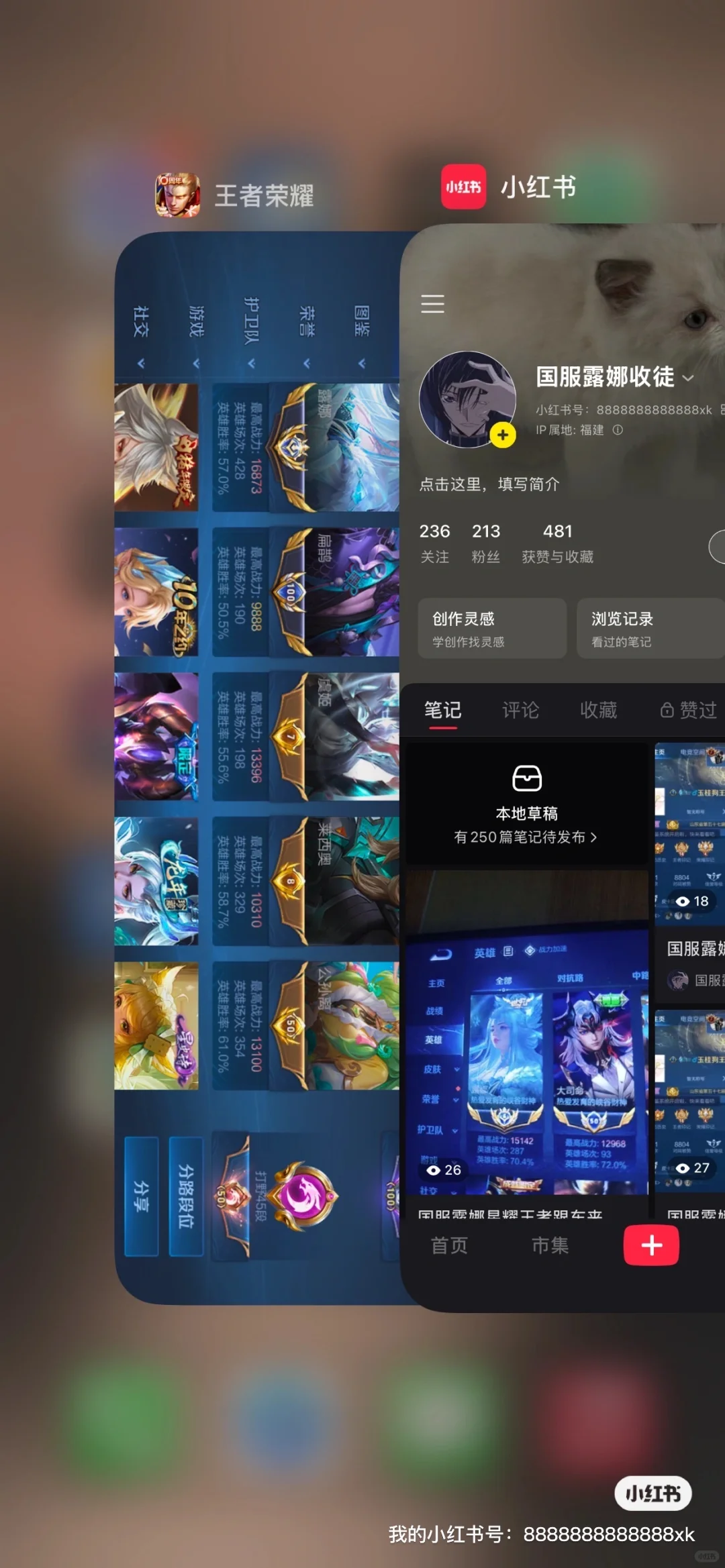 国服露娜收徒，真国服没人吗