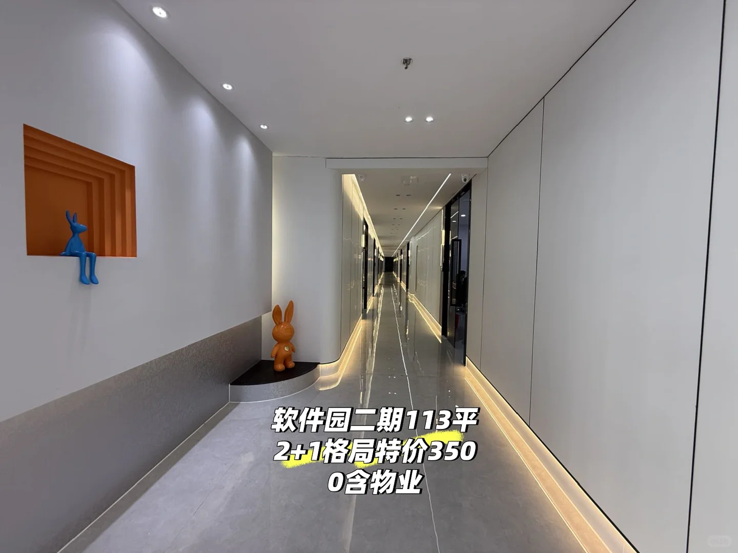 软件二期113平 2+1 格局 特价3500含物业