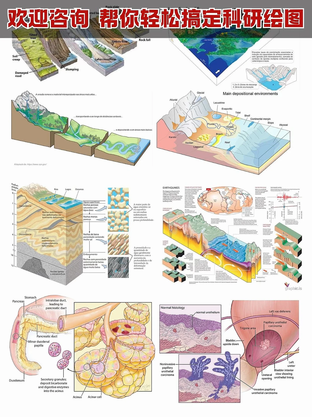 让你满意为止！科研绘图一站式服务❗