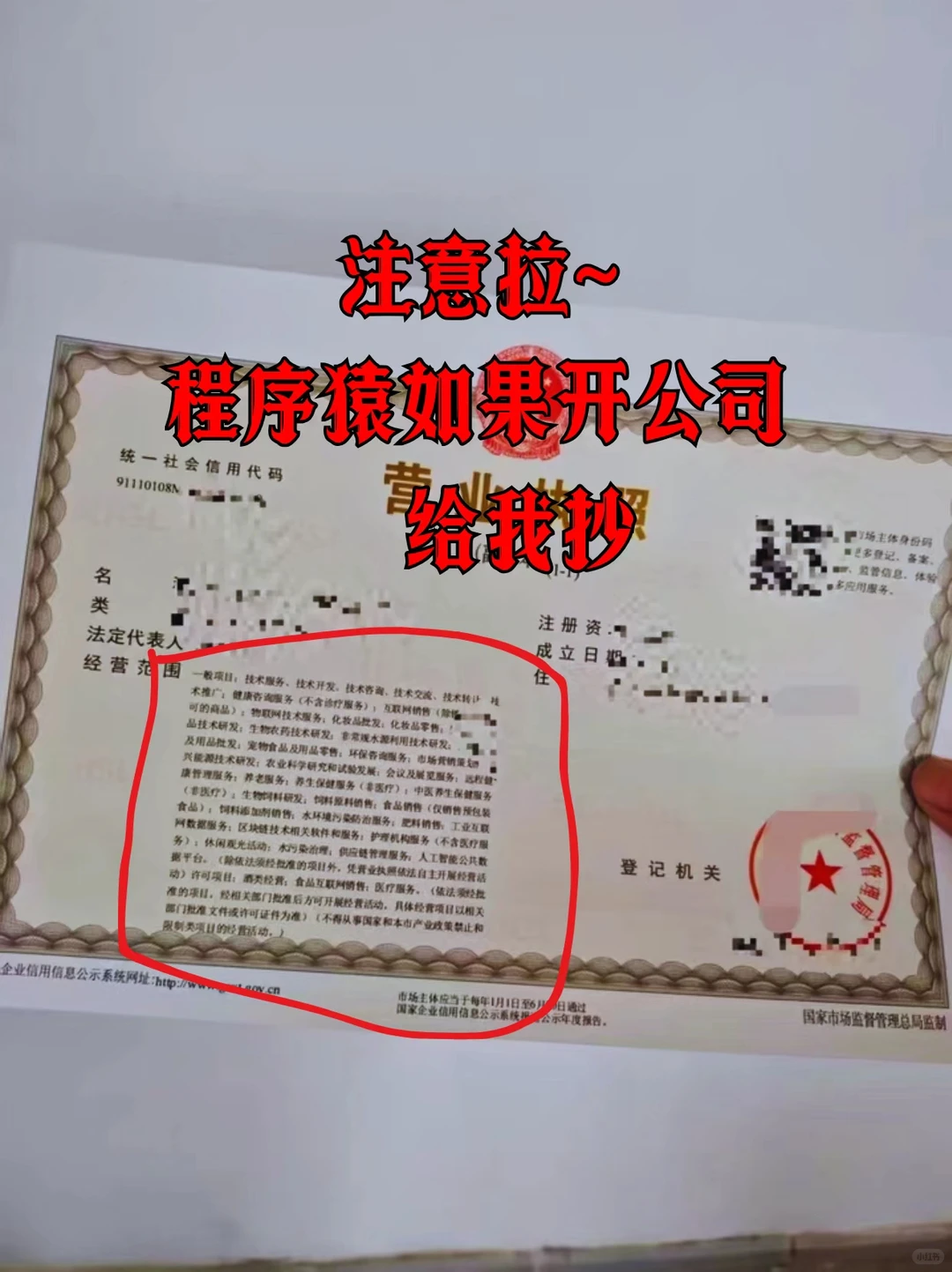 武汉软件开发营业范围,直接抄哦~