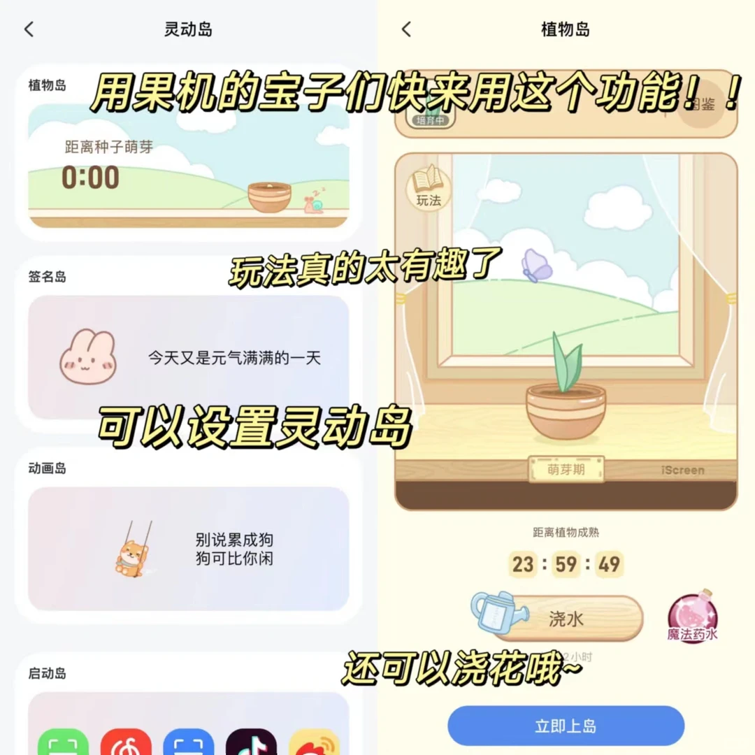 这个软件真的太懂了吧！手机万能桌面组件