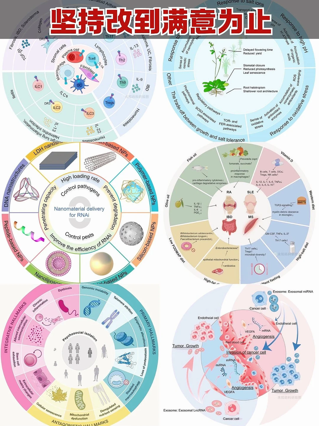 让你满意为止！科研绘图一站式服务❗