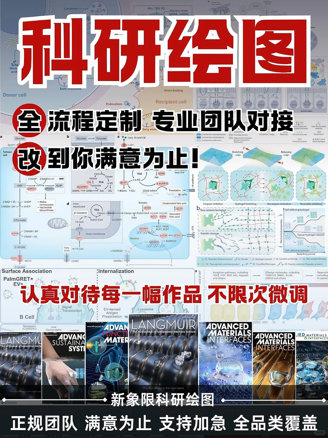 让你满意为止！科研绘图一站式服务❗