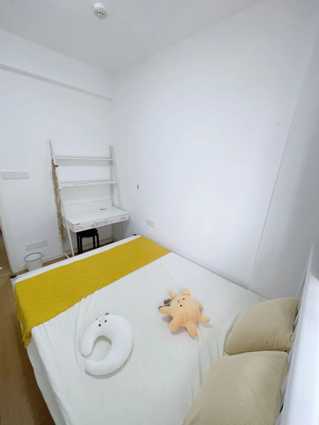 软件园 APP广场 中建大公馆850🉑短租