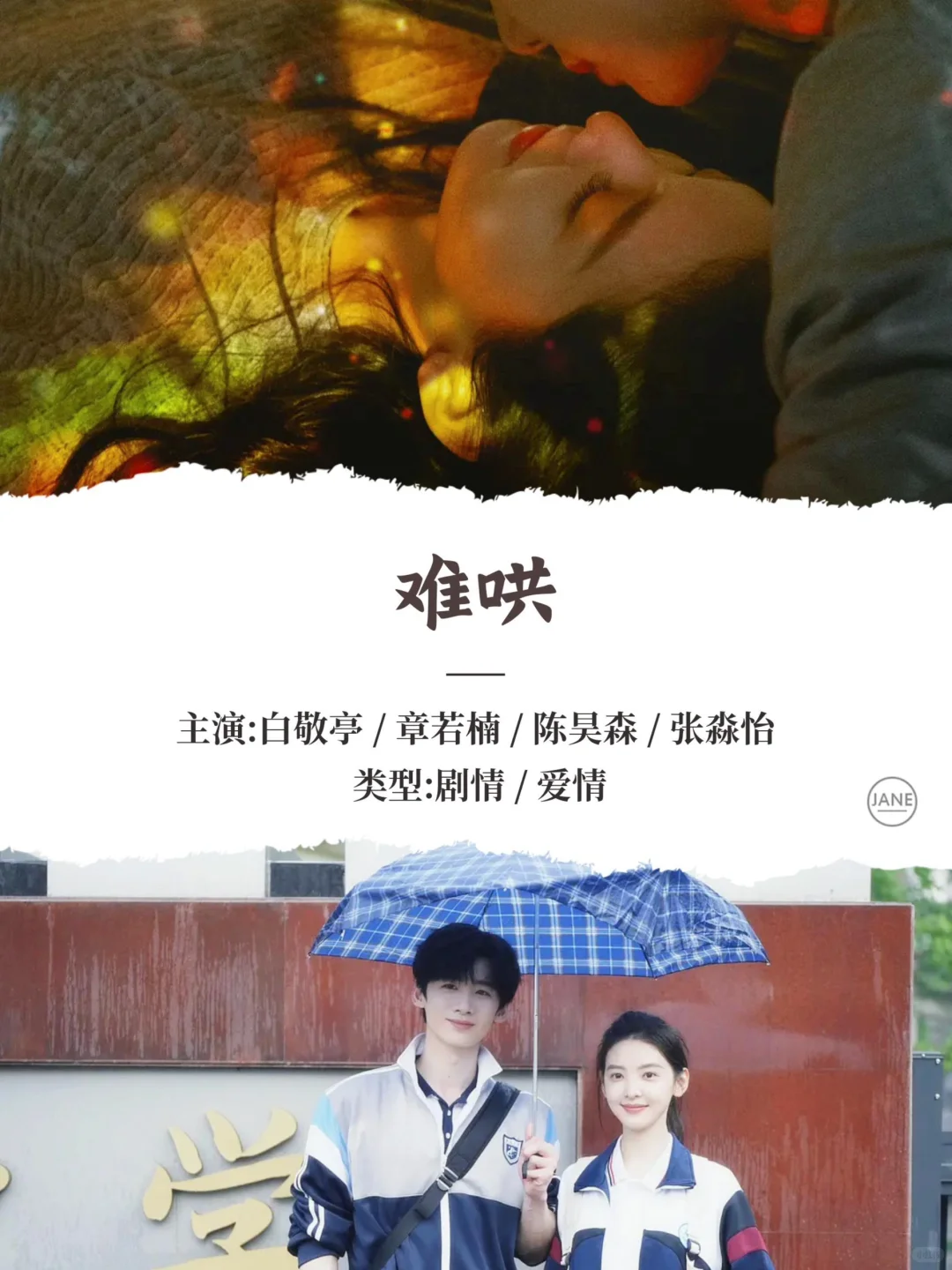 2025最火电视剧，哪一部是你心中的Top1