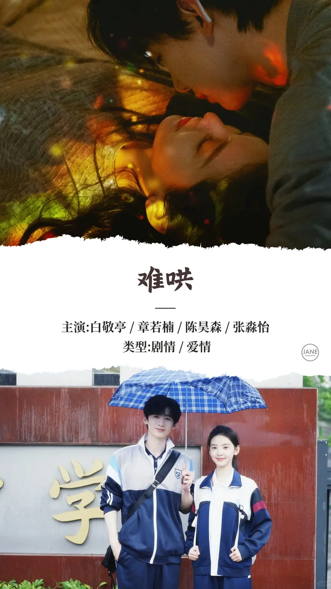 2025年3月热播电视剧推荐