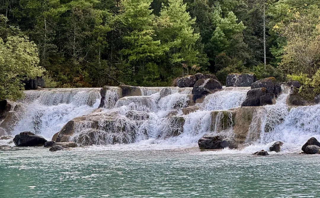 终于‼️灵光App来拯救我们P人了