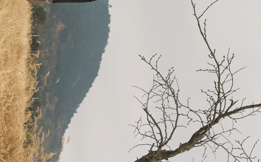 拍出电影感｜我镜头下的冬天，像一首散文诗