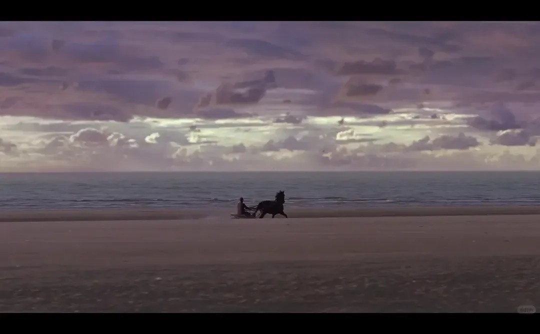 同一个导演的两部神作｜好爱这部电影❗️❗️