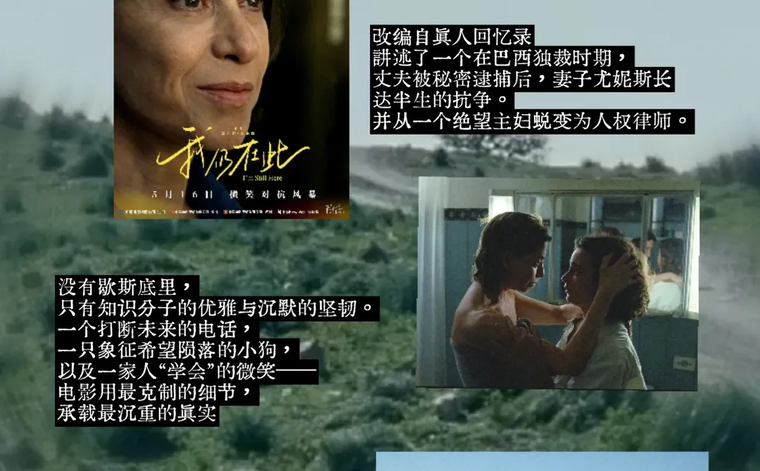 2025年，就在看完这6部女性电影的充溢中结束