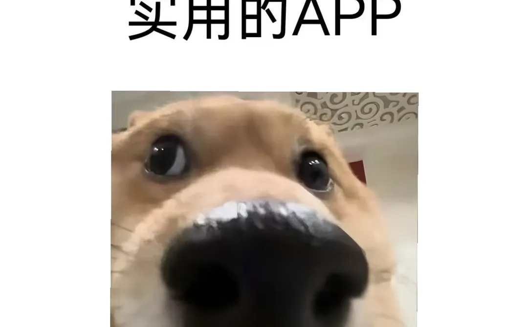 交出你最实用的app