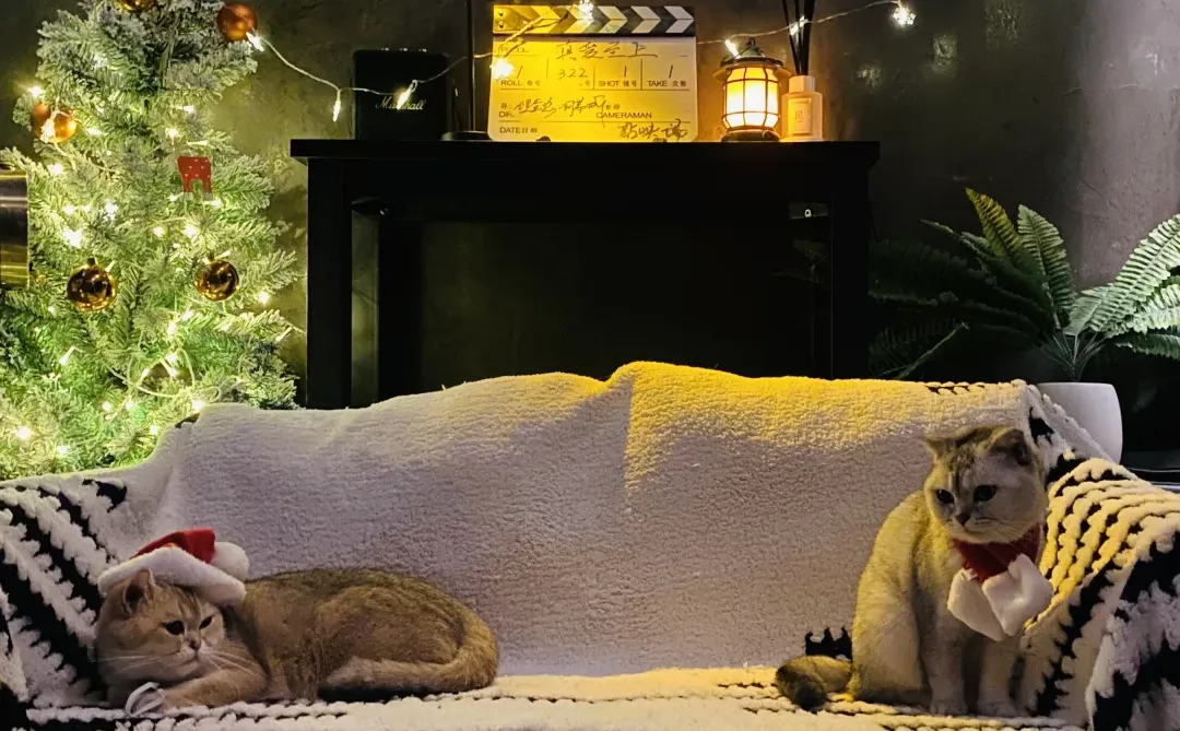 8.1 周五晚 金高银 大尺度《恩娇》电影沙龙